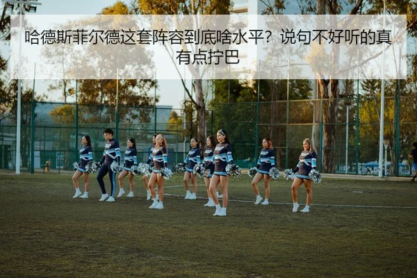 ha-de-si-fei-er-de-zhe-tao-zhen-rong-dao-di-sha-shui-ping-shuo-ju-bu-hao-ting-de-zhen-you-dian-ning-ba-2-940.jpg