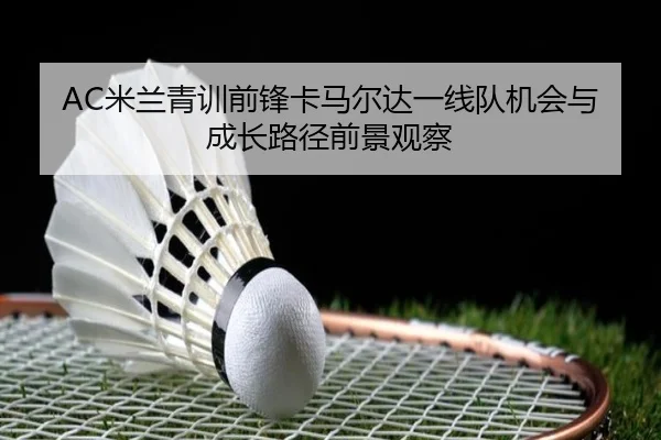 img_1781302580096_3897_0_407.jpg
